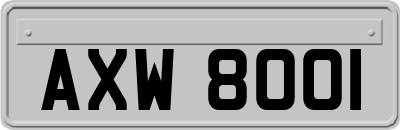 AXW8001