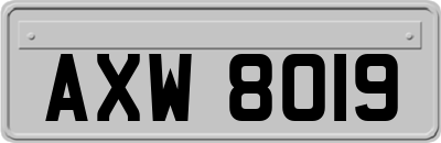 AXW8019