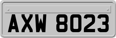AXW8023