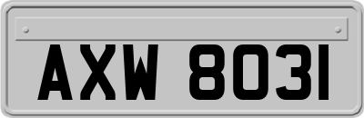 AXW8031