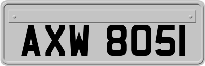 AXW8051