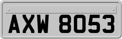 AXW8053