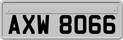 AXW8066