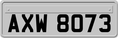 AXW8073