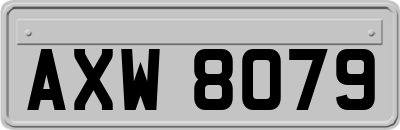 AXW8079