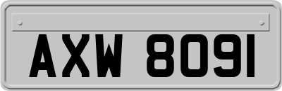 AXW8091