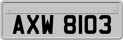 AXW8103