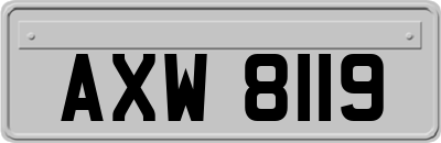 AXW8119