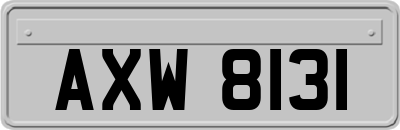 AXW8131