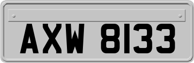 AXW8133