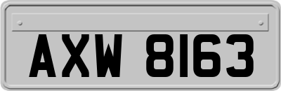 AXW8163