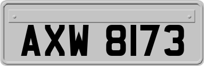 AXW8173