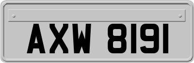 AXW8191