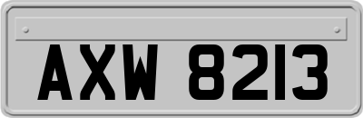 AXW8213