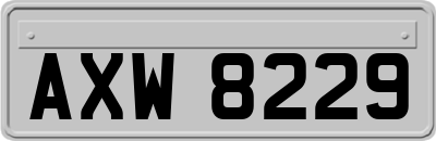 AXW8229