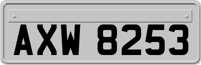 AXW8253