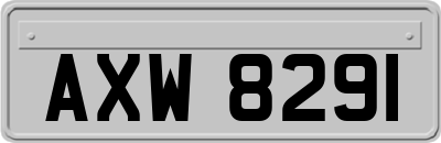 AXW8291