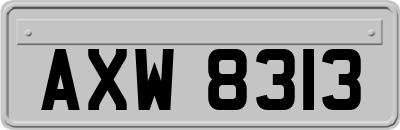 AXW8313