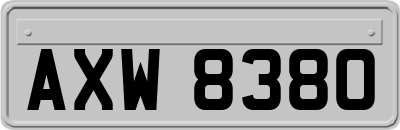 AXW8380