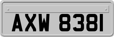 AXW8381