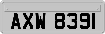 AXW8391