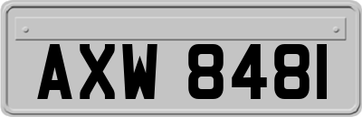 AXW8481