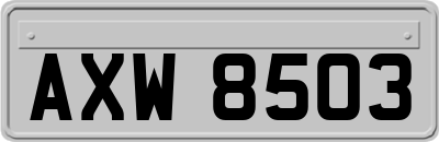 AXW8503