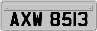 AXW8513