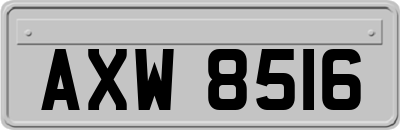 AXW8516