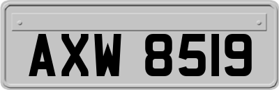AXW8519