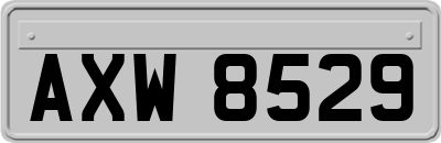 AXW8529