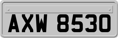 AXW8530