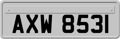 AXW8531