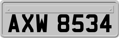 AXW8534