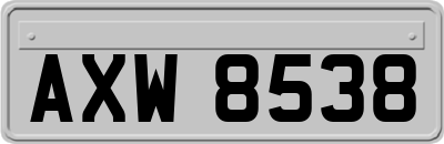 AXW8538