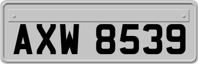 AXW8539