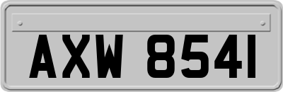 AXW8541
