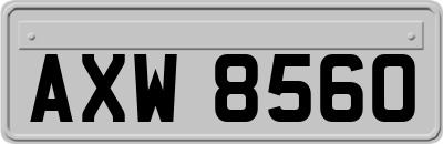 AXW8560