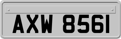 AXW8561