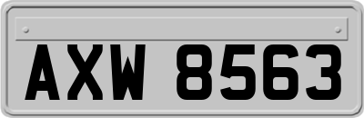 AXW8563