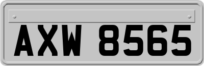AXW8565