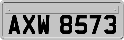 AXW8573