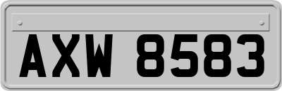 AXW8583