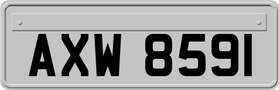 AXW8591