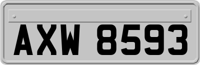 AXW8593