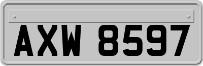 AXW8597