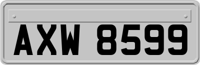 AXW8599