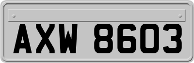 AXW8603