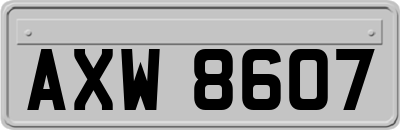 AXW8607