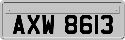 AXW8613